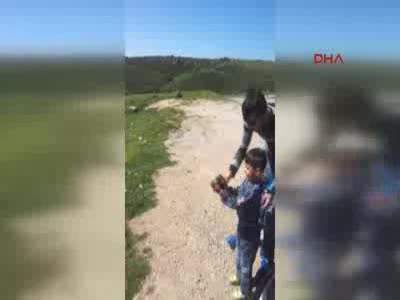 Oğluna tabancayla ateş ettirdiği görüntülere tepki yağdı