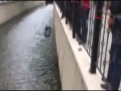 Bursa Gemlik'te dereye düşen kedi böyle kurtarıldı