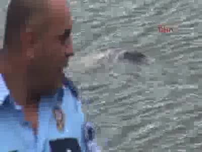 Kayıp adamın cesedi Porsuk Çayı'nda bulundu