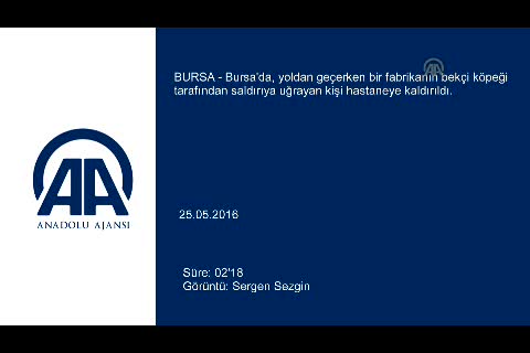 Bursa'da bekçi köpeğinin saldırdığı kişi yaralandı