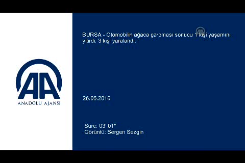 Bursa'da otomobil ağaca çarptı: 1 ölü 3 yaralı
