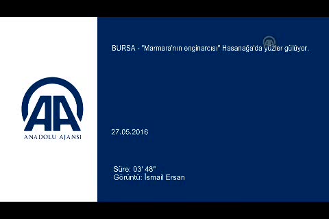 "Marmara'nın enginarcısı" Bursa Hasanağa'da yüzler gülüyor