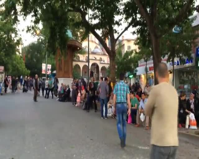 Bursa'da ağaçta can çekişen kuş için seferber oldular