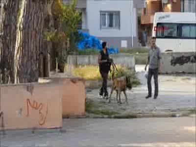 Köpekle yapılan aramadan da sonuç alınamadı