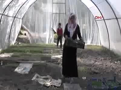 Toprağın bereketiyle aile bütçesine katkı sağlıyor