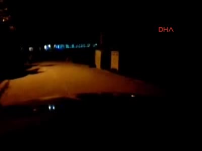 Bursa Uludağ'da ayı ve üç yavrusu çöplerde yiyecek aradı