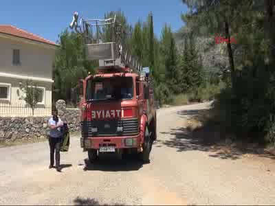 Fethiye'de yağmur suyu borusuna sıkışan anne ve yavru kaplumbağa kurtarıldı