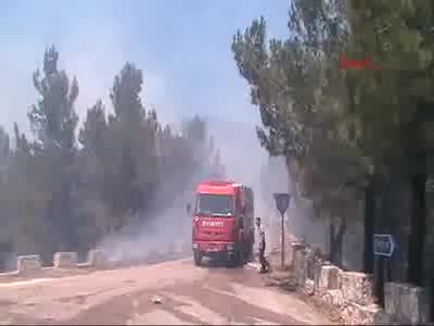 Datça'da alevler 1 hektar kızılçam ormanını küle çevirdi