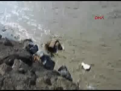 Hatay'da şiddetli yağış sele neden oldu