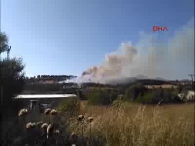 Çanakkale'de tarlada başlayan yangın ormanlık alana sıçradı
