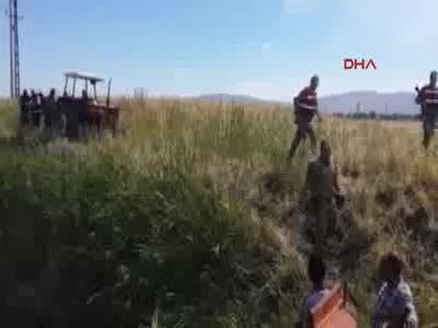 Gaziantep'te sulama kanalına düşen inekler iş makinesiyle kurtarıldı
