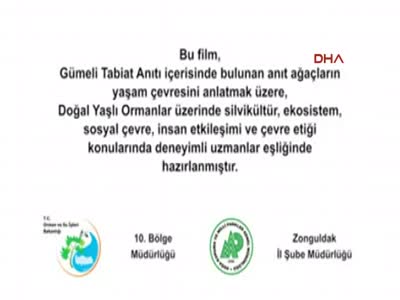 Dünyanın en yaşlı 5 ağacından biri Zonguldak'ta