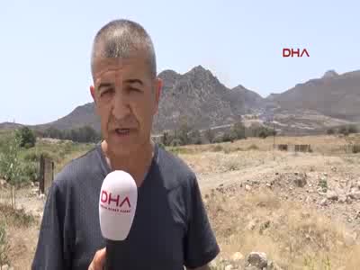 Alevler Bodrum'da 24 saattee 250nhektarlık makilik alanı küle çevirdi