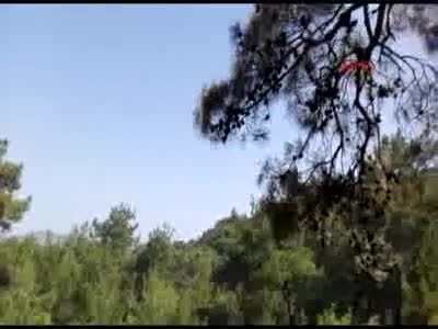 Manavgat'ta orman yangını - 1