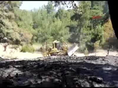Manavgat'ta orman yangını - 3