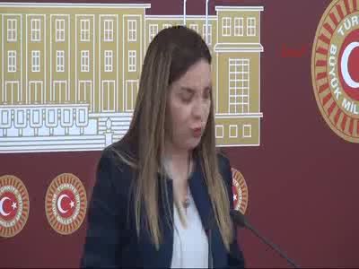 Arzu Erdem TBMM'de basın toplantısı düzenledi - 1