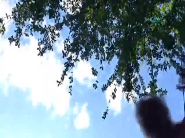 Yılanı okşama isteği kötü bitiyordu