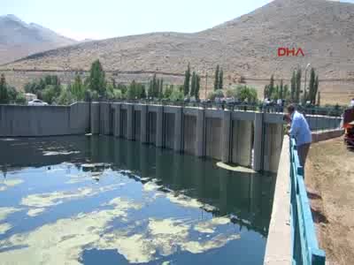 Ceyhan Nehri'nde 15 inek leşi çıkarıldı