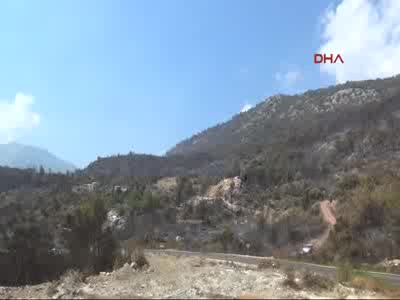 Adrasan'da evler ve hayvanların yaşam alanları küle döndü