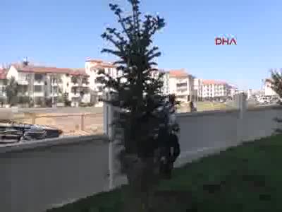 Çaldıkları otomobille 'Radar'a girince yakalandılar