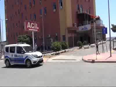Çaldıkları parayla pitbull dövmesi yaptırmışlar