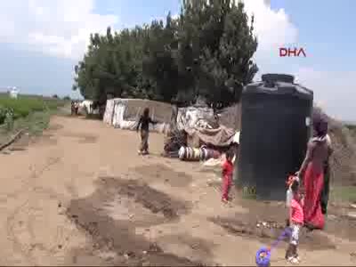 Doğu ve Güneydoğu'da terörden kaçanlar mevsimlik işçi oldu