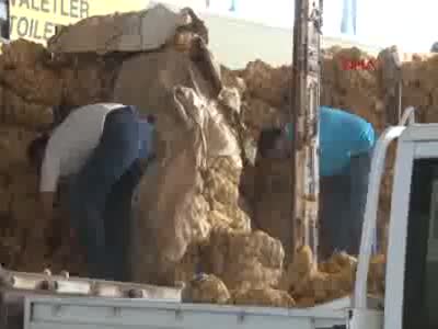 İzmir Büyükşehir'den 135 bin aileye patates