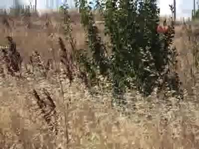 Büyükçekmece'de bavuldan ceset çıktı - 2
