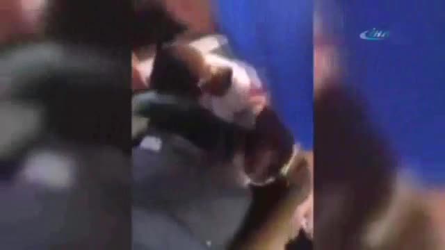 Bavuldan insan çıktı