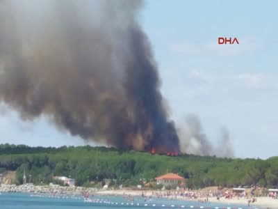 Çanakkale'de şehitliklerin bulunduğu tarihi Gelibolu Yarımadası'nda orman yangını
