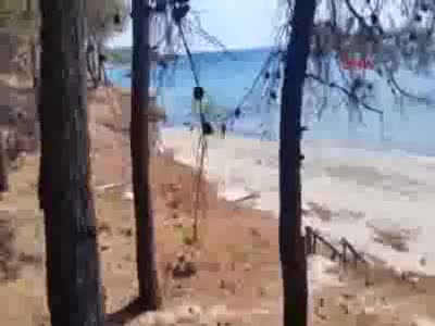 Çanakkale'de şehitliklerin bulunduğu tarihi Gelibolu Yarımadası'nda orman yangını - 5