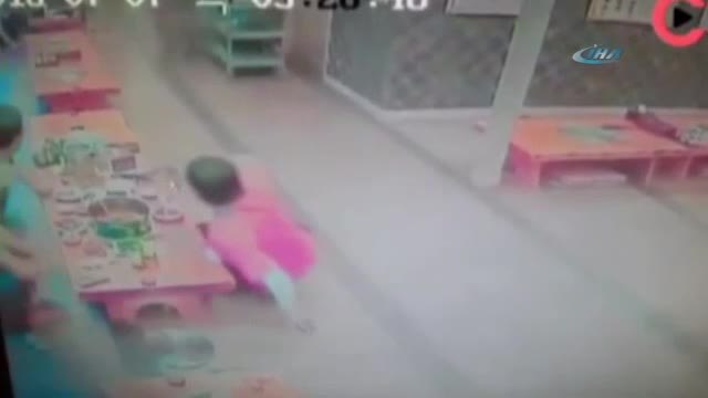 Yaban domuzu restorana daldı