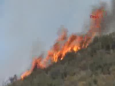 Bodrum'da yangın - 1