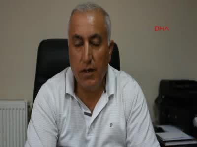 İranlılar Van Gölü'ne plaj istiyor - 2