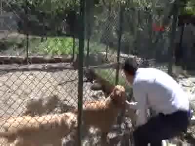 Müdürün örnek hayvan sevgisi