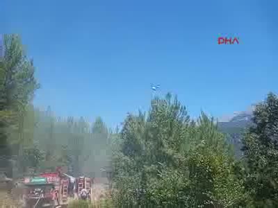 Alanya'da orman yangını - 2