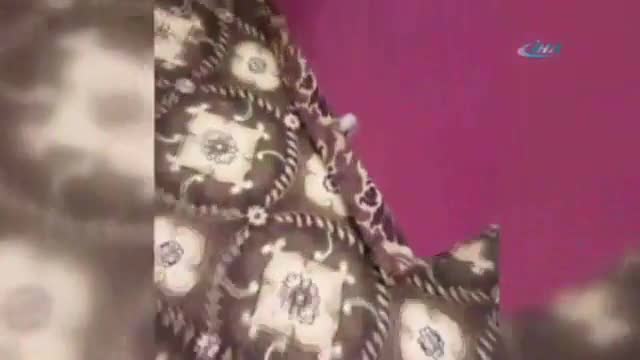 Evi yarasalar bastı