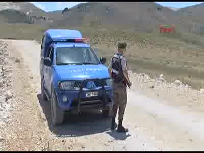 Köylülere ait 9 at tüfekle öldürüldü