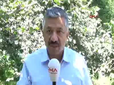 Fındık işçilerine "Rekolte düşük, bahçe bulmadan gelmeyin" uyarısı
