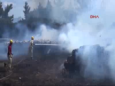 Çanakkale'de orman yangını