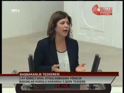 OHAL Meclis'te görüşülmeye başlandı - 4