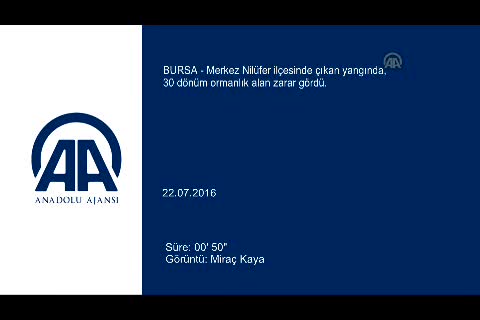 Bursa'da korkutan yangın! - 2