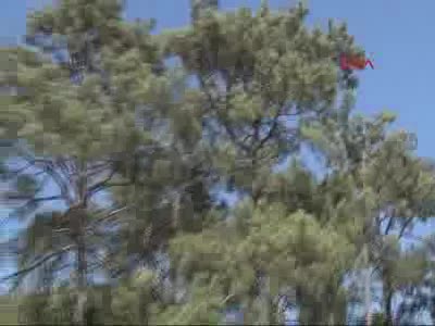 Kaçak 3 asker yakalandı - 2