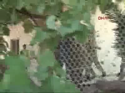 Marmaris'te 4 asker daha yakalandı - 1