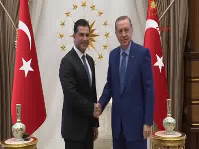 Erdoğan, KKTC Başbakanı Özgürgün'ü kabul etti