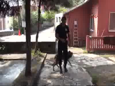Zonguldak'ta AFAD köpekleri her an göreve hazır