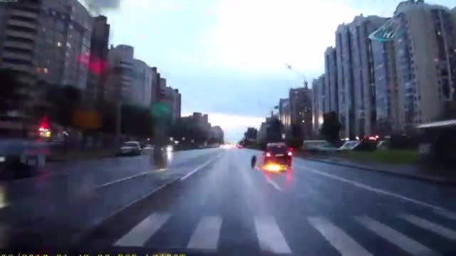 Bir anda yola fırladı!