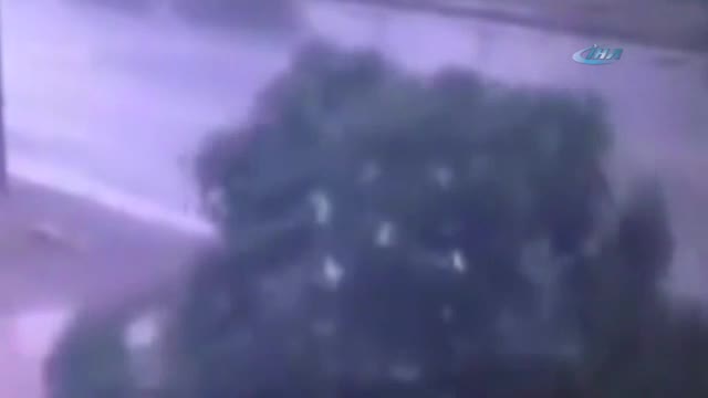 Pes artık: Ağacı kesip bisikleti çaldı