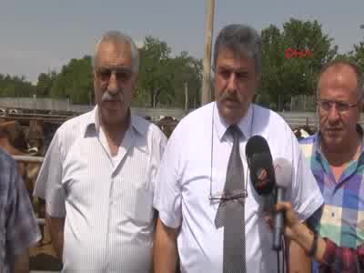 Kırmızı Et Üreticileri Birliği: Kurbanlık fiyatları yüzde 30 zamlandı