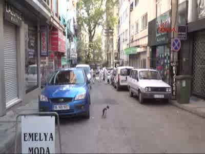 Bursa'da çöplük haline dönen evinin temizlenmesini kedisiyle birlikte izledi